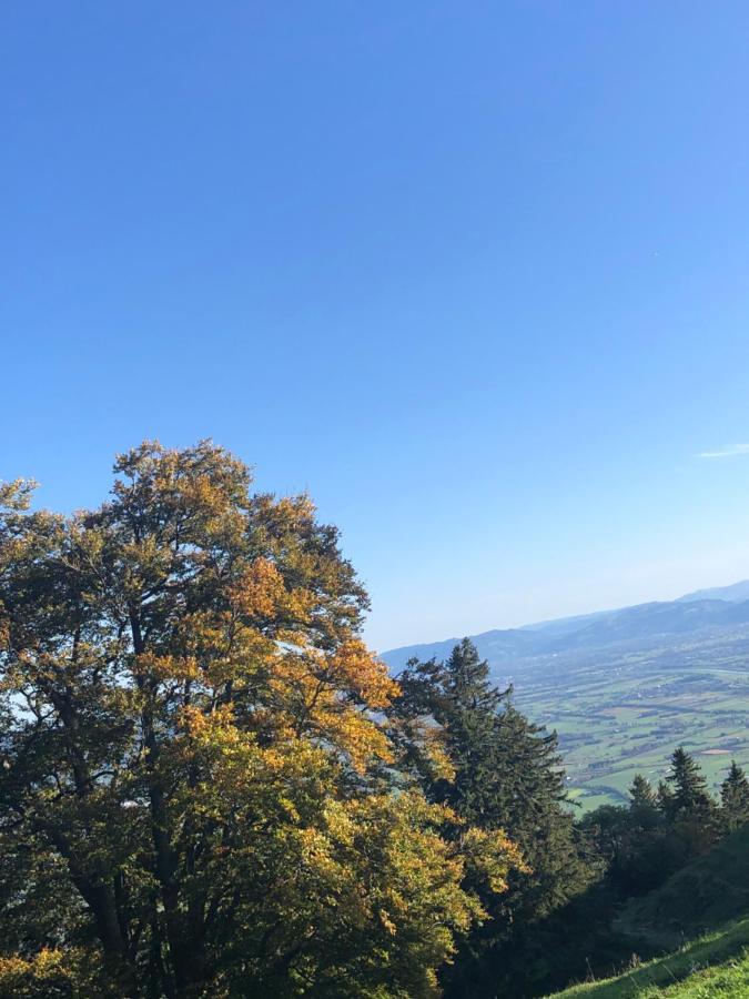 Montlinger Schwamm Oberriet Exterior foto