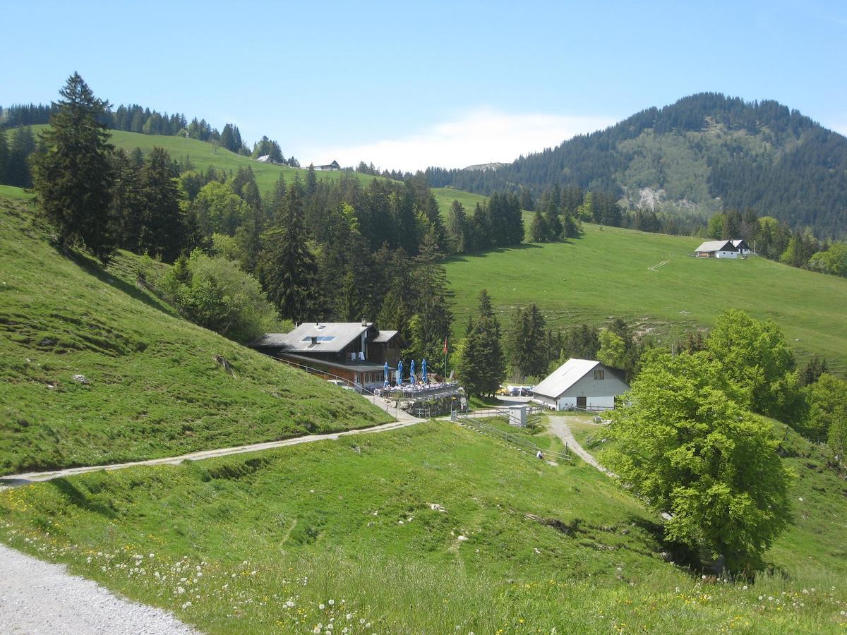 Montlinger Schwamm Oberriet Exterior foto